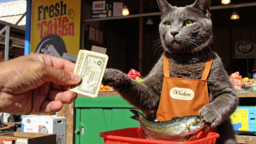 обоя юмор и приколы, нейросети, графика, нейроарт, ai, art, нейронные, сети, рисунки, нейро, искусство, нейрографика, graphics, neuroart, neural, networks, drawings, neuro, neurography