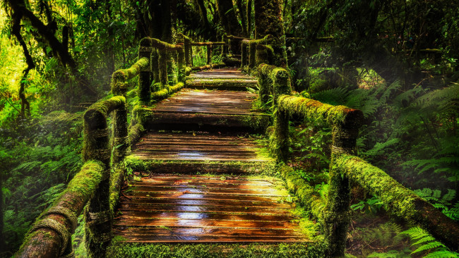 Обои картинки фото doi inthanon national park, thailand, природа, парк, doi, inthanon, national, park