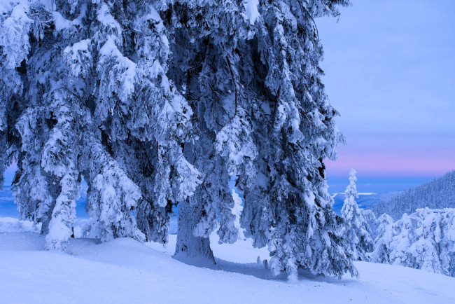 Обои картинки фото природа, зима, деревья, горы, снег