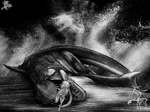 Картинка terror of the beach by shadowwolf фэнтези драконы