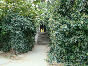 Картинка разное элементы архитектуры