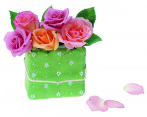 Картинка цветы розы