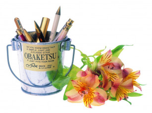 Картинка цветы альстромерия