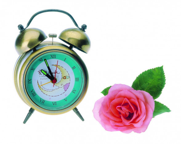 Обои картинки фото цветы, розы