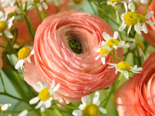 Картинка цветы разные вместе