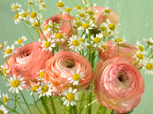 обоя цветы, разные, вместе