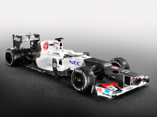 Картинка автомобили formula sauber