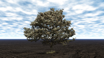 Картинка 3д графика nature landscape природа дерево