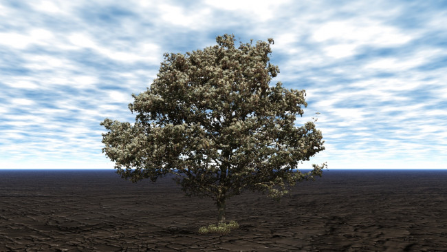 Обои картинки фото 3д, графика, nature, landscape, природа, дерево