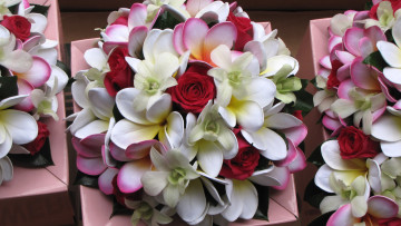 Картинка цветы букеты композиции розы орхидеи плюмерия