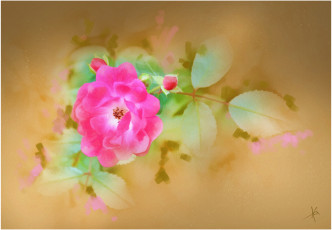 Картинка рисованные цветы розы