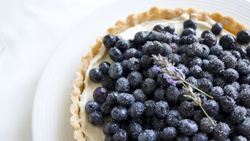 Картинка еда пироги черника ягода тарелка тарталетка цветы