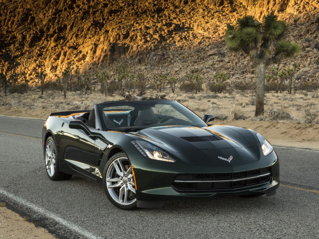 Обои картинки фото 2014  chevrolet corvette с7 stingray, автомобили, corvette, stingray, дорога, кабриолет, chevrolet, зеленый
