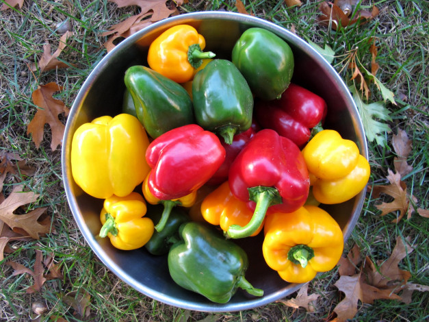 Обои картинки фото еда, овощи, перец
