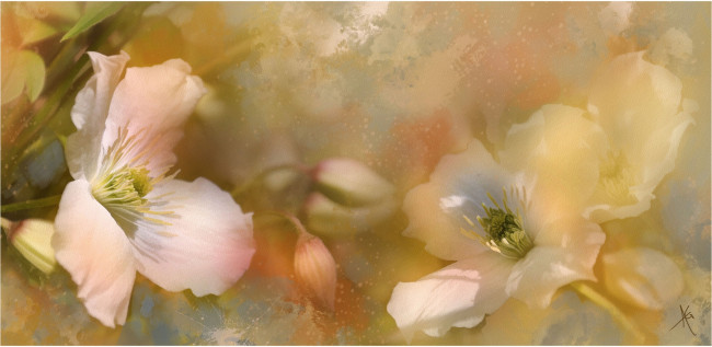 Обои картинки фото рисованные, цветы