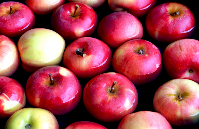 Обои картинки фото еда, Яблоки, плоды