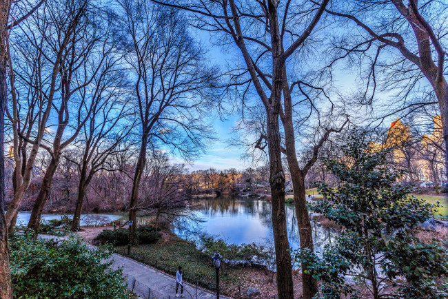 Обои картинки фото central park rim, природа, парк, деревья, дорожки, мост, пруд