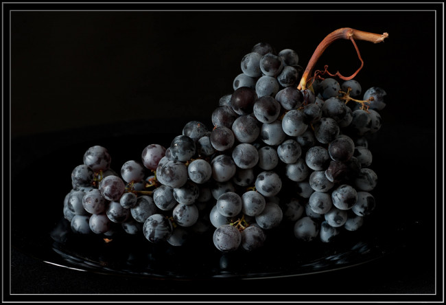Обои картинки фото еда, виноград, кисть