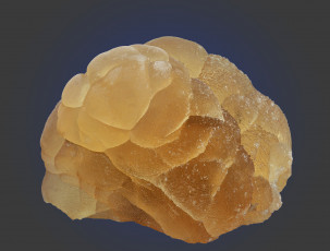 Картинка разное ракушки +кораллы +декоративные+и+spa-камни жёлтый камень calcite