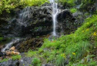 Картинка природа водопады река водопад лес