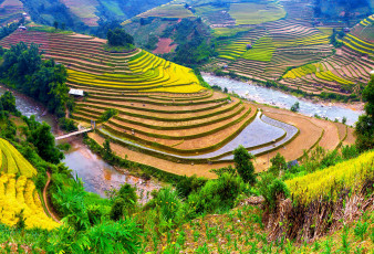 Картинка природа поля кусты реки пейзаж