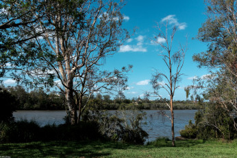 Картинка природа реки озера деревья река небо