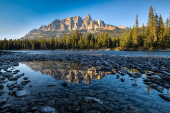 Картинка природа реки озера река лес