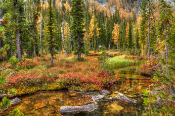 Картинка природа реки озера река лес горы