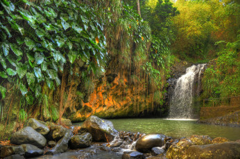 Картинка природа водопады водопад река лес