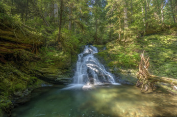 Картинка природа водопады лес водопад река