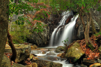 Картинка природа водопады река водопад лес