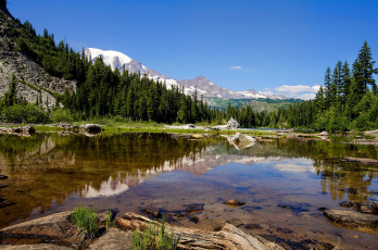 Картинка природа реки озера река лес