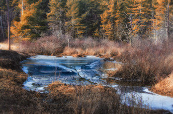 Картинка природа реки озера река лес