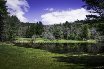 Картинка природа реки озера река лес