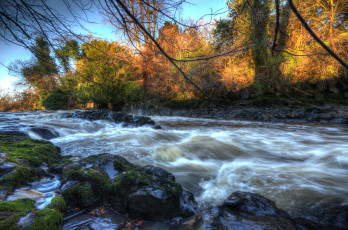 Картинка природа реки озера река лес