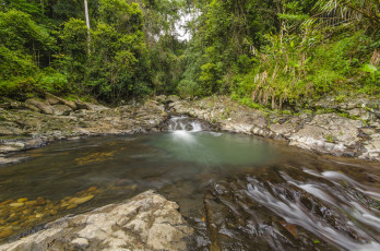 Картинка природа реки озера река лес