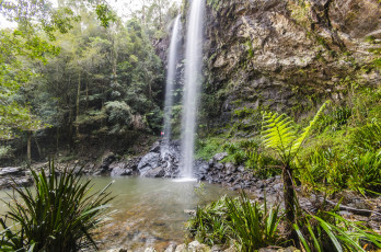Картинка природа водопады водопад лес река
