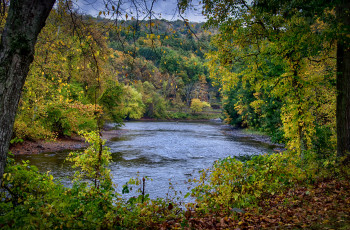 Картинка природа реки озера река лес