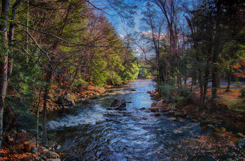 Картинка природа реки озера река лес