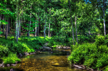 Картинка природа реки озера лес река