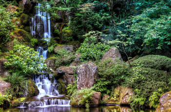 Картинка природа водопады лес река водопад