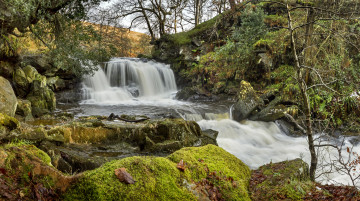 Картинка природа водопады лес река водопад