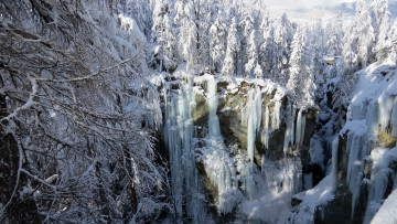 Картинка природа зима сугробы снег ели