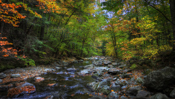 Картинка природа реки озера река лес