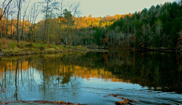 Картинка природа реки озера лес река