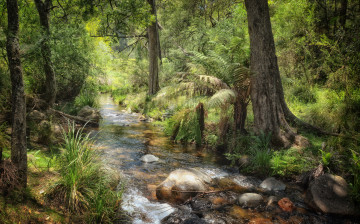 Картинка природа реки озера река лес