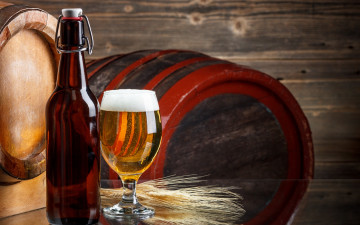 Картинка еда напитки +пиво бокал бутылка бочки