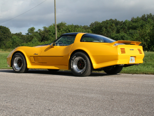 Обои картинки фото greenwood corvette stingray, автомобили, corvette