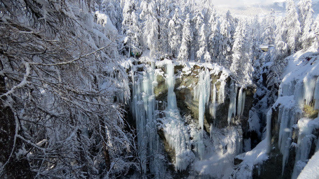 Обои картинки фото природа, зима, сугробы, снег, ели