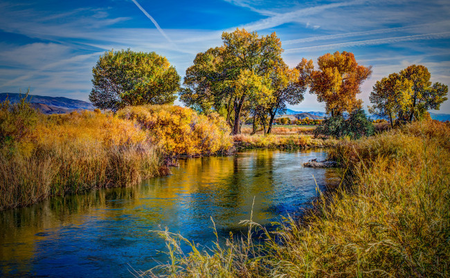 Обои картинки фото природа, реки, озера, река, лес